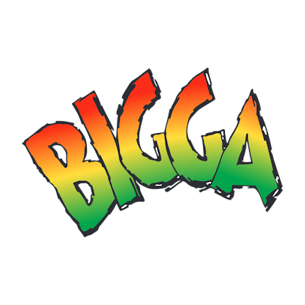 LOGO Bigga Sodas 2