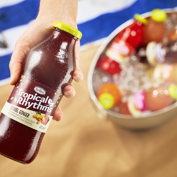 Sorrel ginger Grace 17 08 23 4604 1